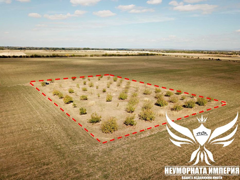 Продавам орехово градина 6650кв.м. в село Козаново