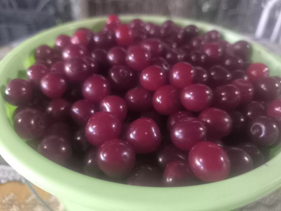 Продам дачную вишню.