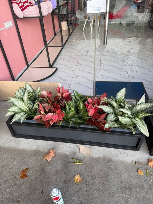 кашпо туве декаративни