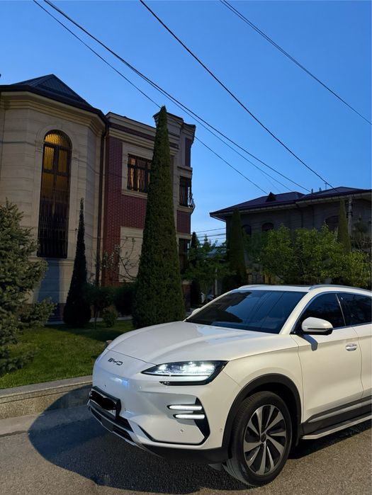 BYD Champion Honnor Infinity kalonka 2024