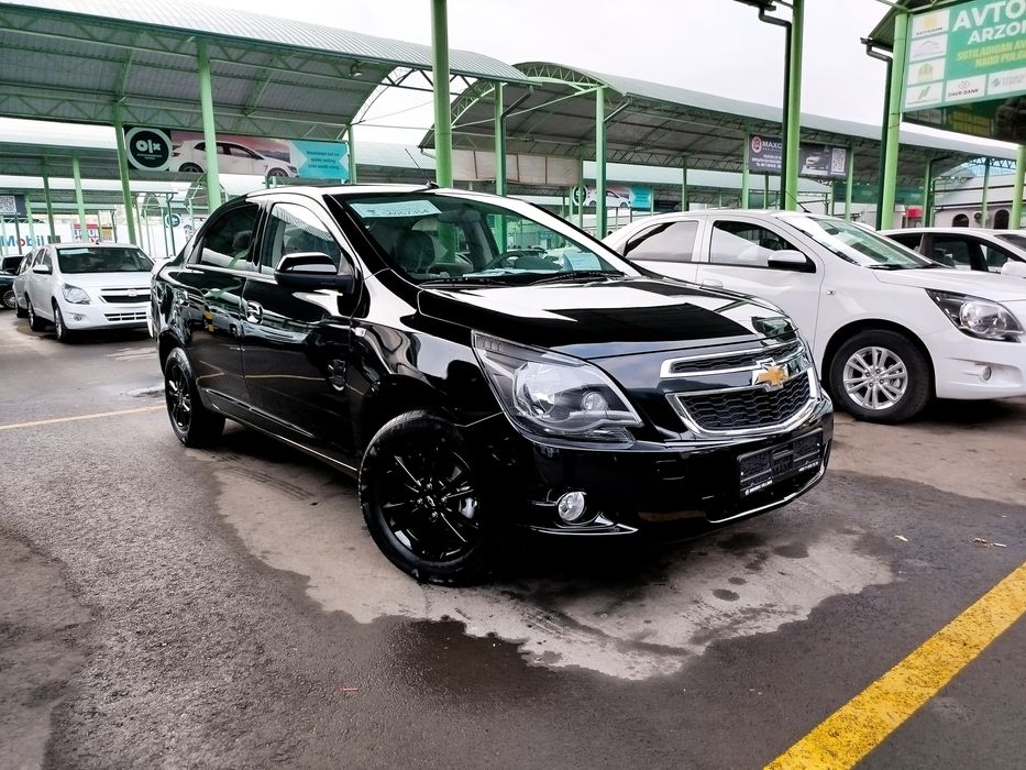 Kobalt 2026 model Stayl MSM