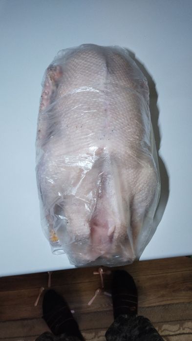 Домашние гуси вкусные