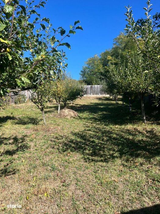 Teren 1128 intravilan constructii Darmanesti Arges