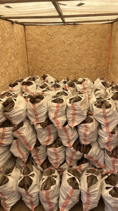 Саксаул дрова шашлык