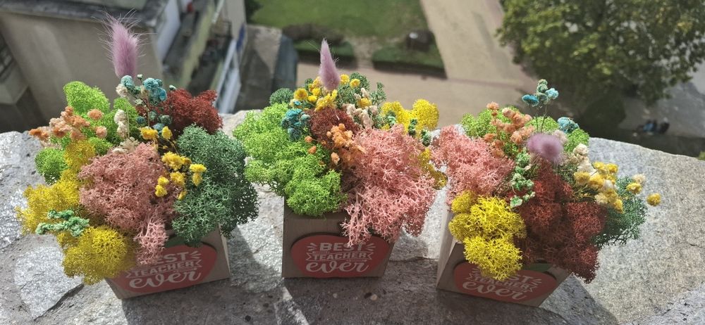 За най- добрия учител