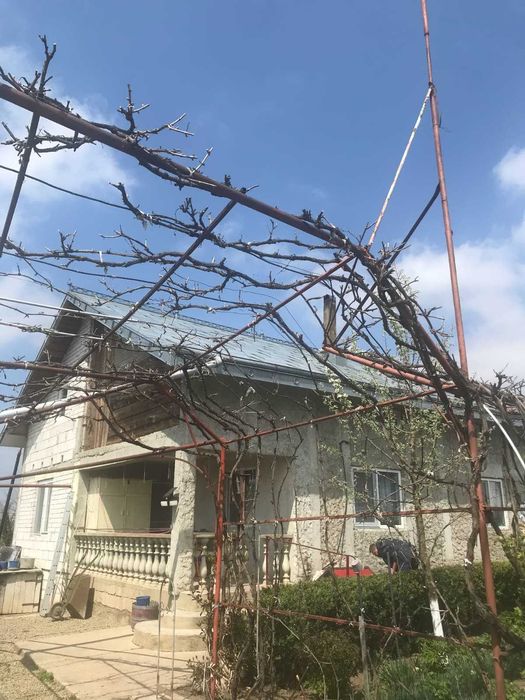 Vand Casa P+M in comuna Rachiti