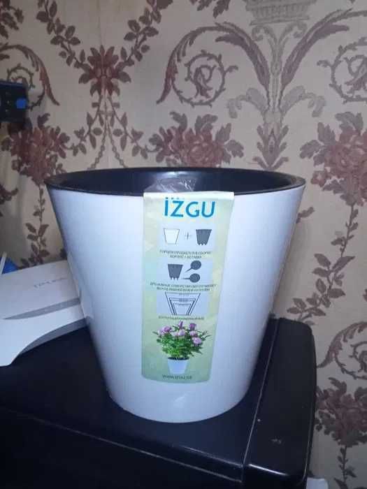 Кактус дерево - символ богатства, удачи, успеха.