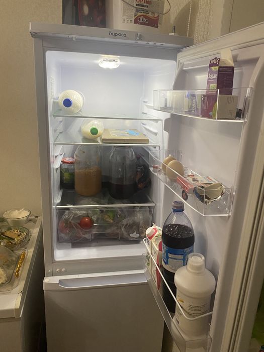 Холодильник Бирюса 120