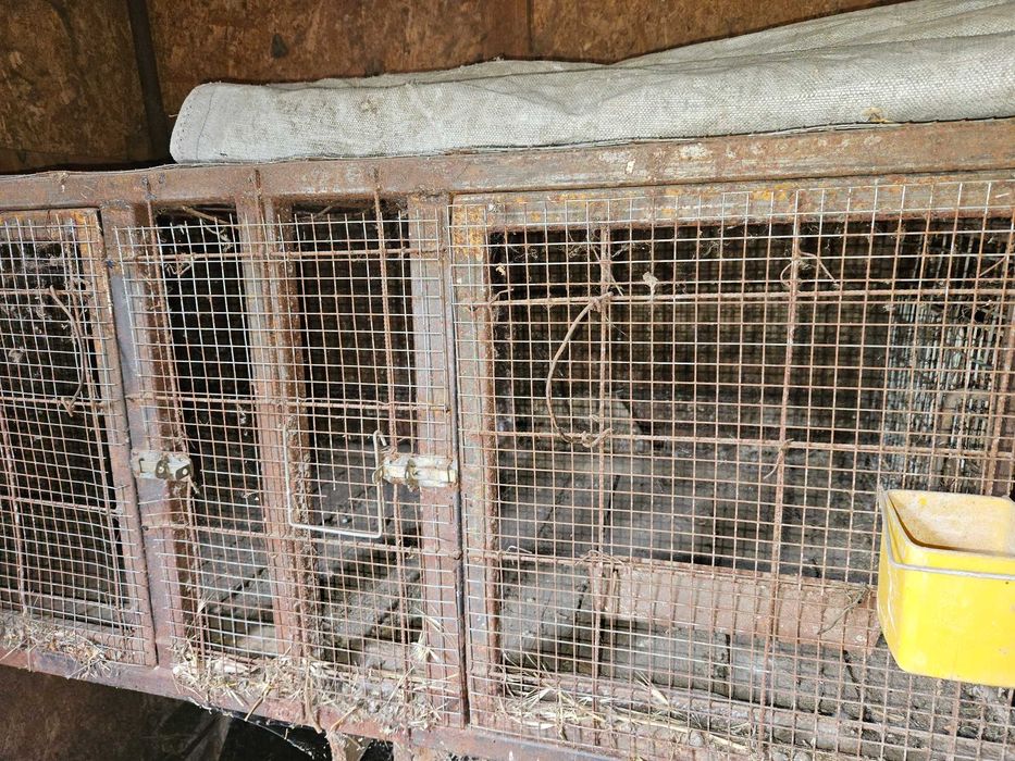 Cușcă de iepuri solidă