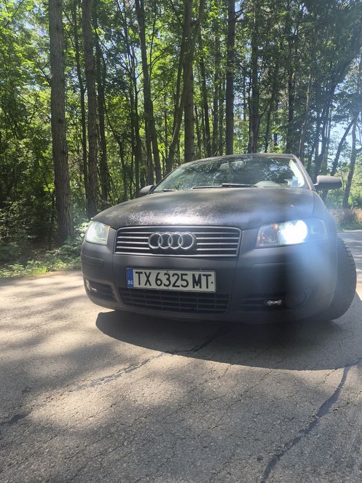 Audi A3 8p 2.0TDI