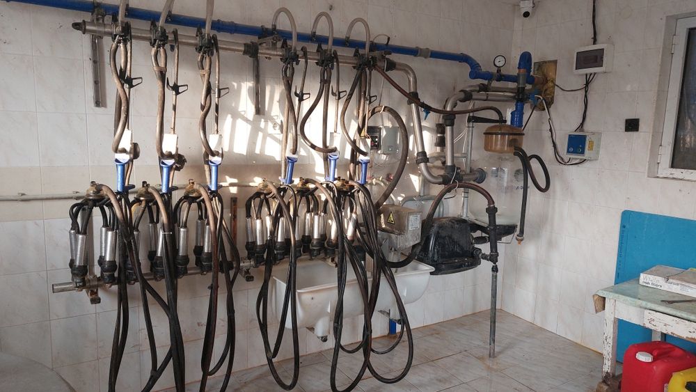 DeLaval Доилна инсталация млекопровод