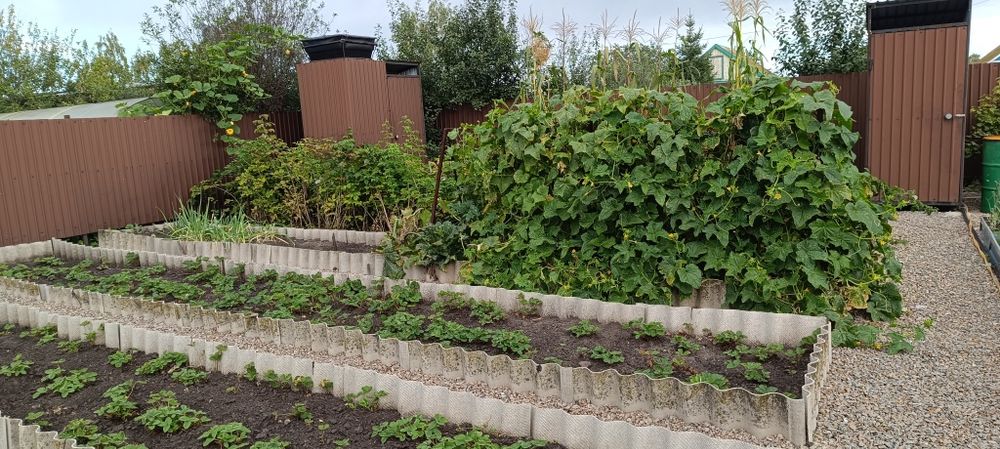 Продам дачу в дачном обществе ПК СТ Борки