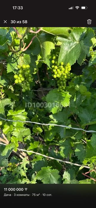 Продается Дача на баме