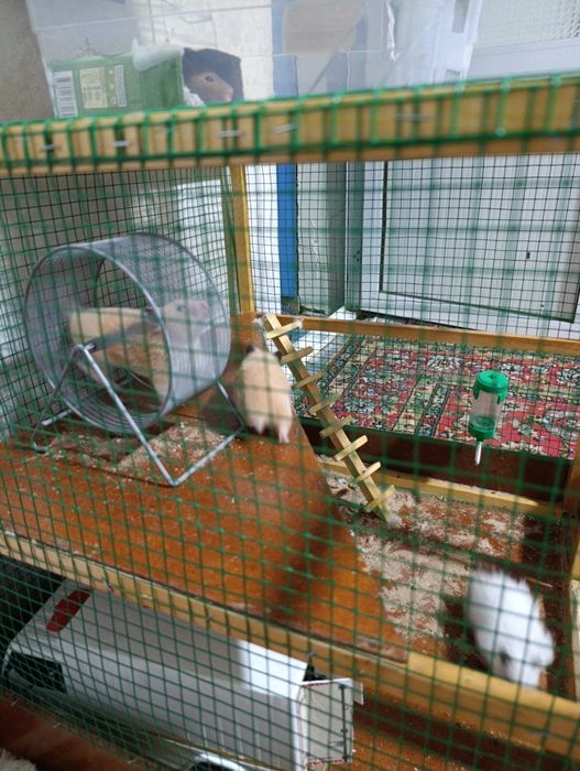 Hamyak  srochna sotiladi