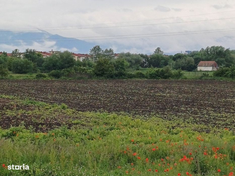Teren extravilan arabil – 8.700 mp – Gușterița