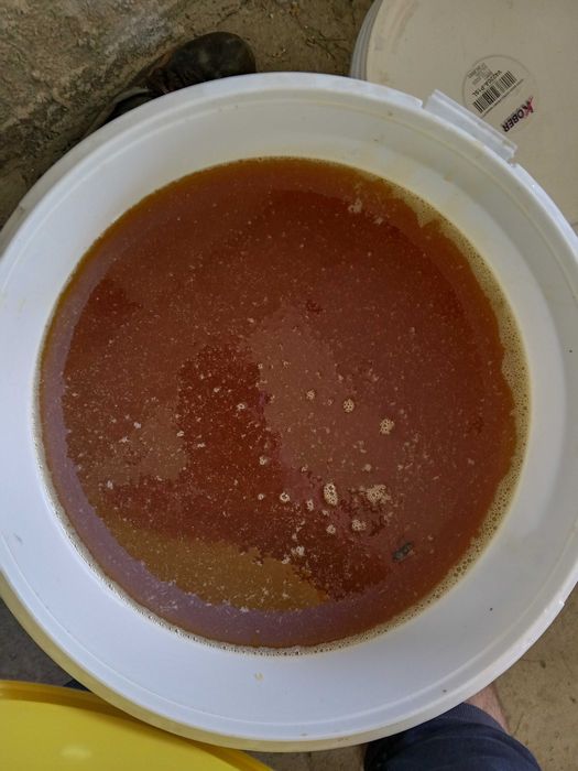 Miere de albina NATURALĂ