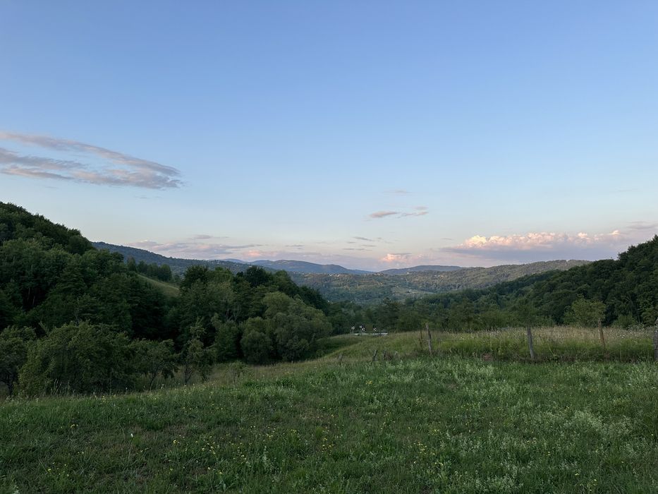 Teren Runcu Dambovita