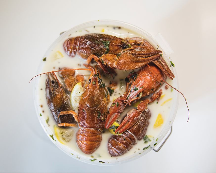 раки, креветки, морепродукты