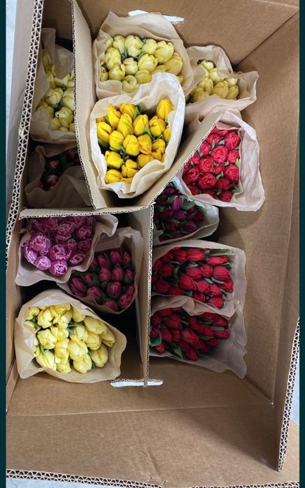 Тюльпаны Тюльпаны Тюльпаны