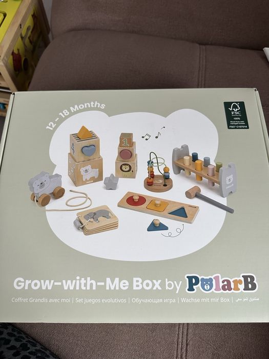 Cutie cu jucarii evolutive Maestrii Miscarilor (12-18 luni)