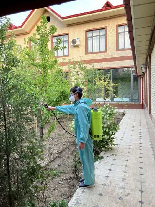 Dezinfeksiya Klapa дезинфекция клопов тараканов блохи крыси мишей