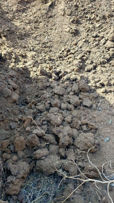 Навоз конский Уаз