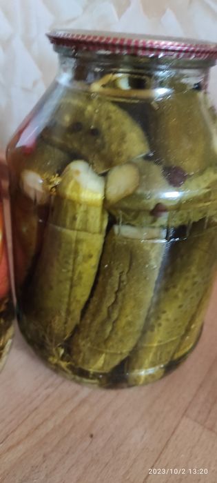 Домашние  помидоры  консервированные