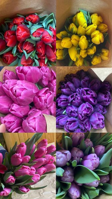 Свежие тюльпаны к празднику!