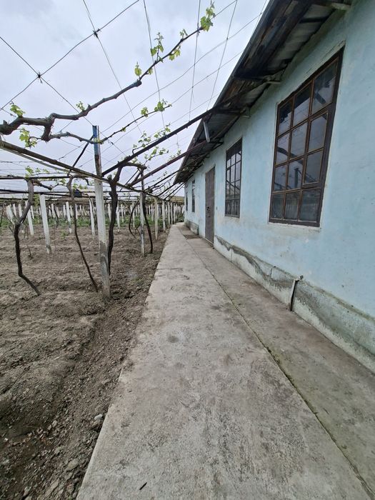 Ёрмазорда 3 та 9 сотихлик участка. Катедж куриб сотувчилар учун аъло и