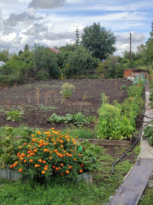 Срочно!Продам дачу 10 соток