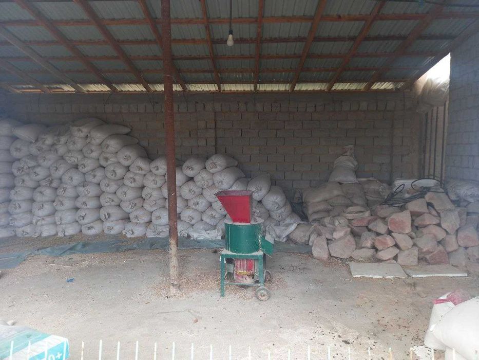 Ферма сотилади! Тошкент туманида (ориентир Сарке махалла)