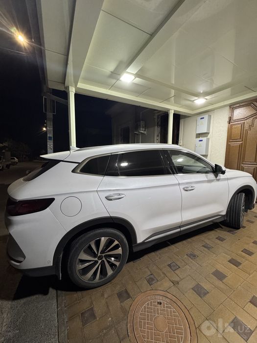 Byd chempion honor 2024-24