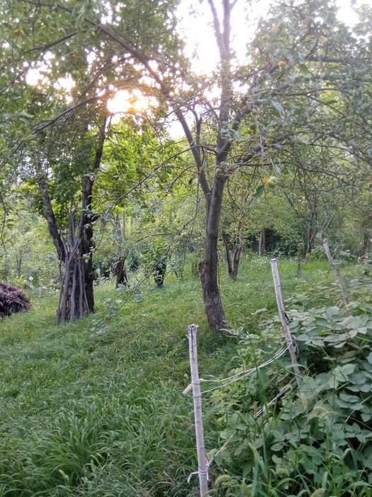 Srochna Yer sotiladi 8 sotix Bo'stonliqda