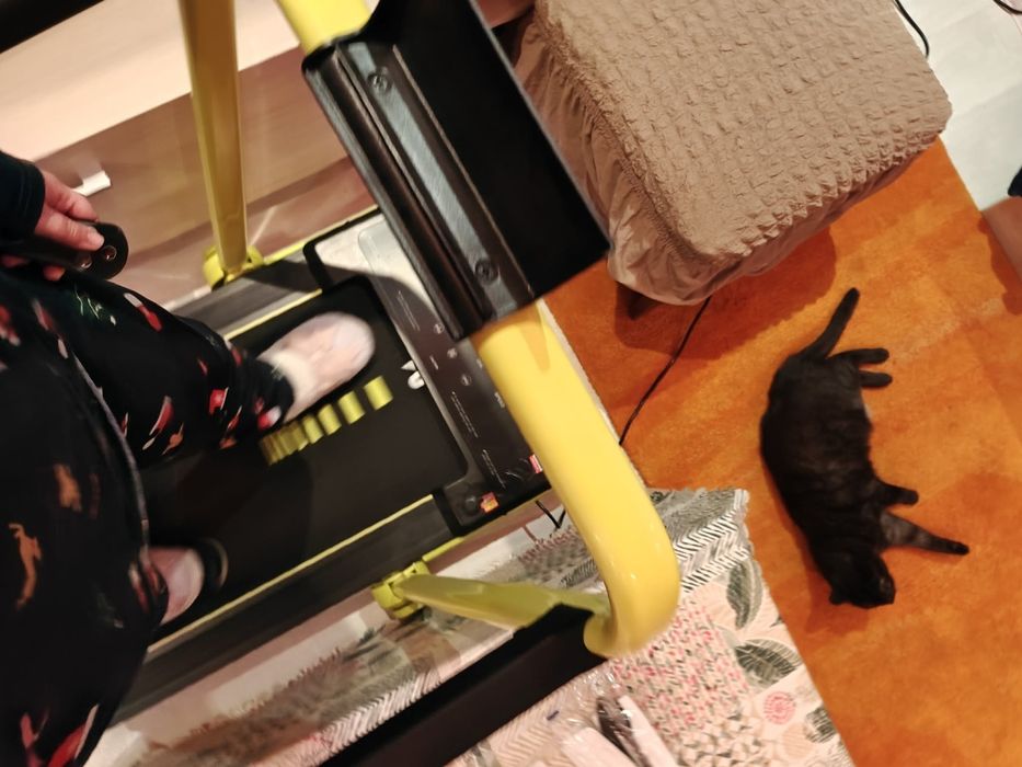 Електрическа бягаща пътека