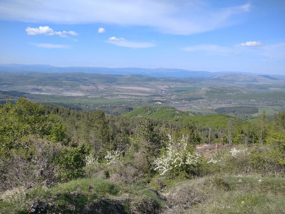 Продава се Къща в Драгоман - 30 кв.м за 986 €/кв.м - Снимка #23