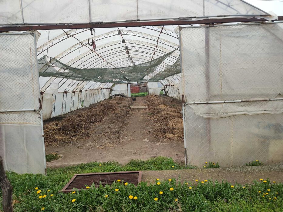 Продава се Къща в с. Котленци, Област Добрич - 42 кв.м за 1214 €/кв.м - Снимка #4