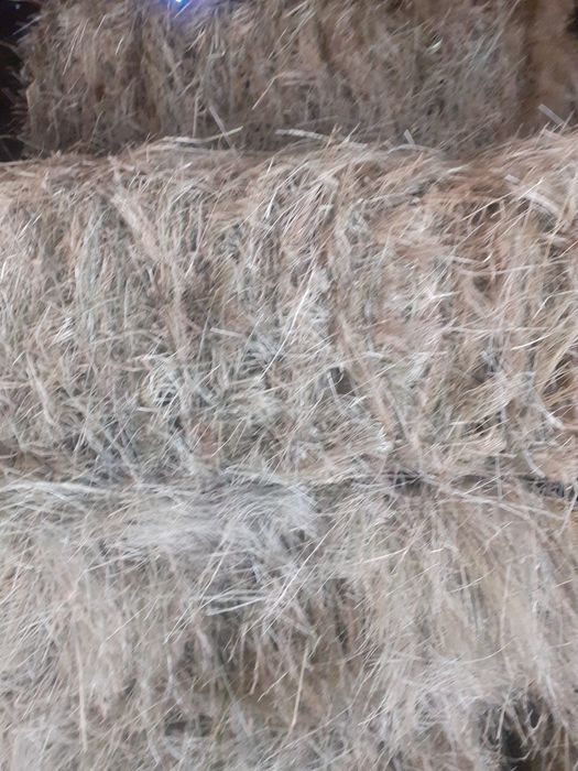 Baloti de fân de vânzare