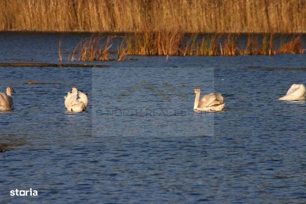 Reședință exclusivistă cu deschidere la Lacul Scroviștea