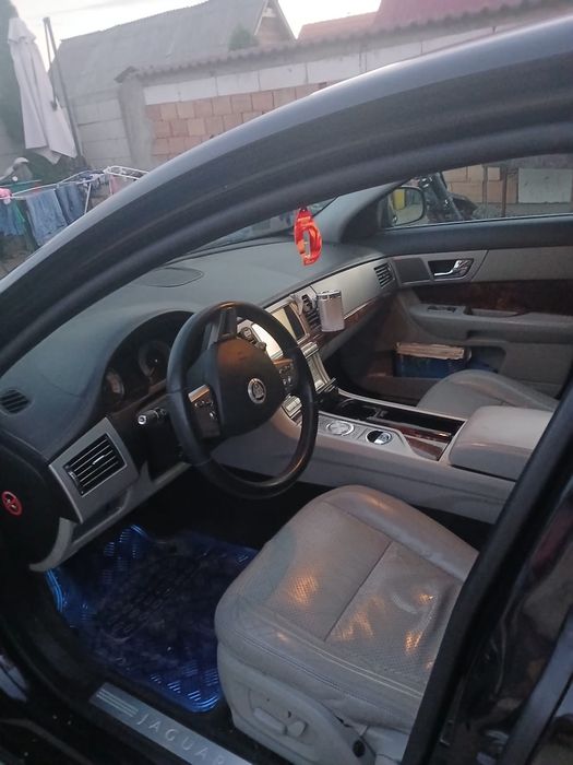Vand jaguar an stare pefecta