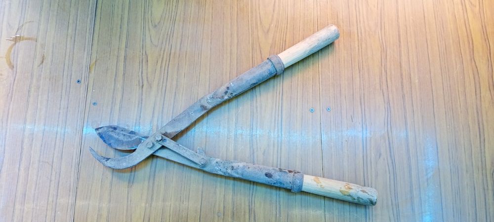 Секатор для обрезки Кустов