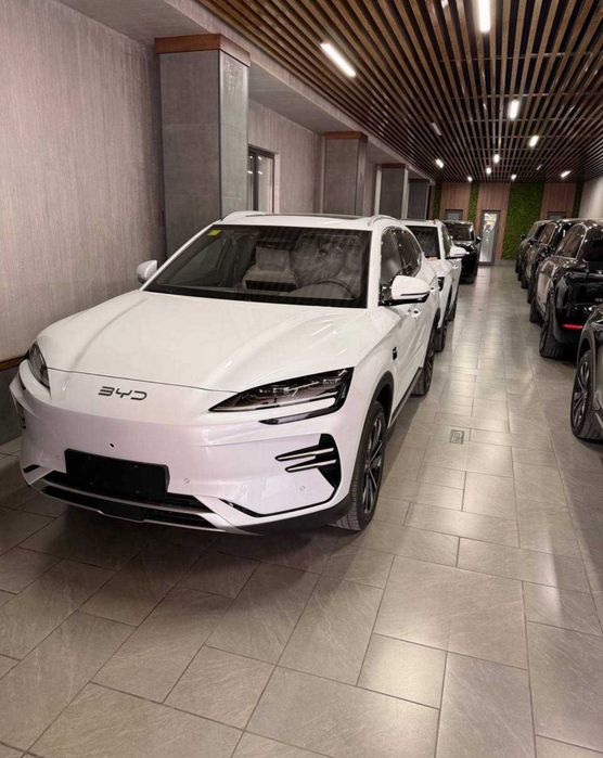 BYD Chempion Smart Full