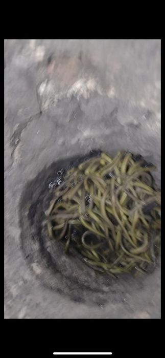 Коминочистач за София и региона