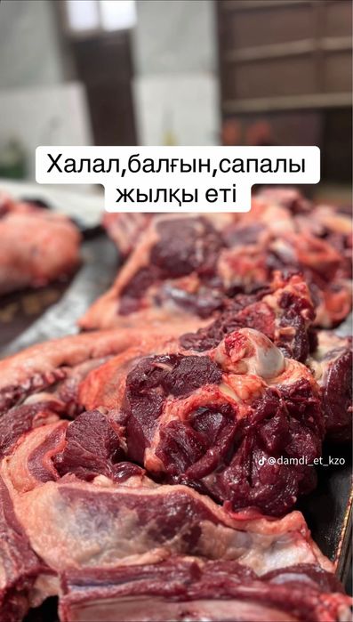Жылқы еті жіліктеме мясо конина