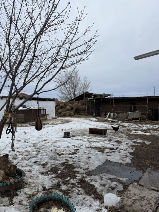 Продам часный дом