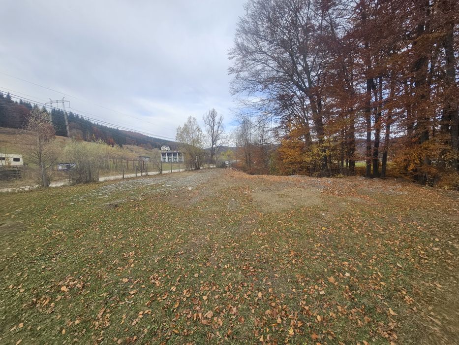 Teren  Valea Doftanei