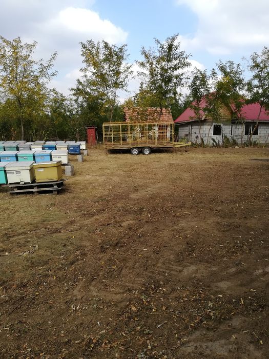 Vând remorcă apicolă