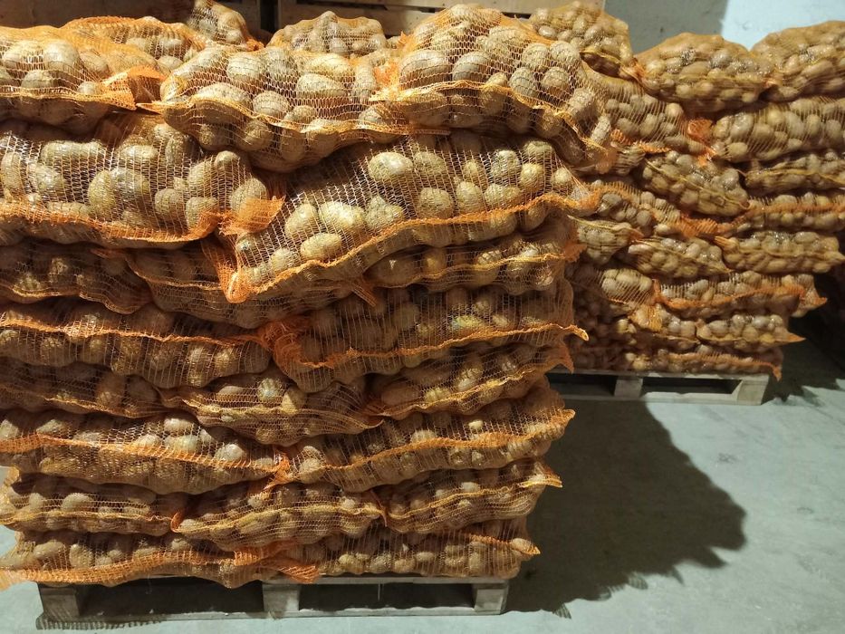 De vânzare cartofi consum