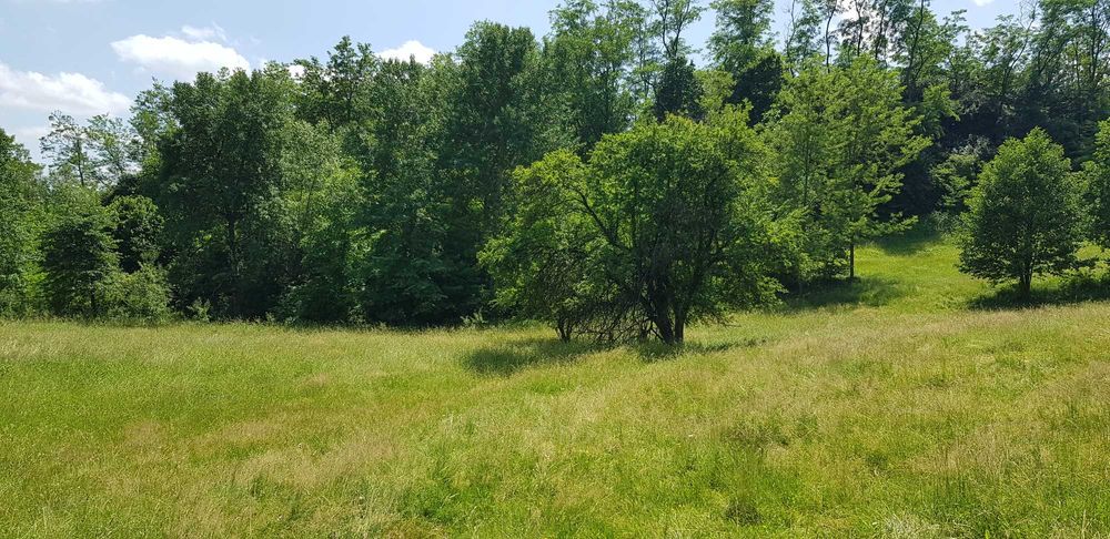 29.000mp lângă Curtea de Argeș, 2 căsuțe, curent electric și apă rețea