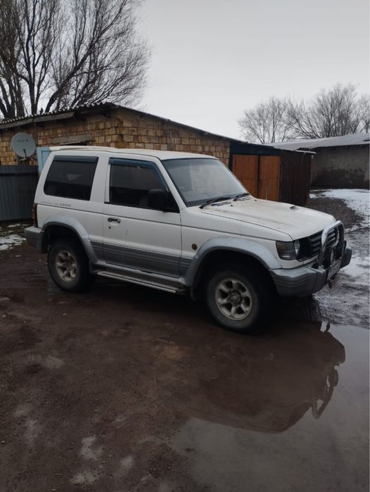 Пачеро каратыш