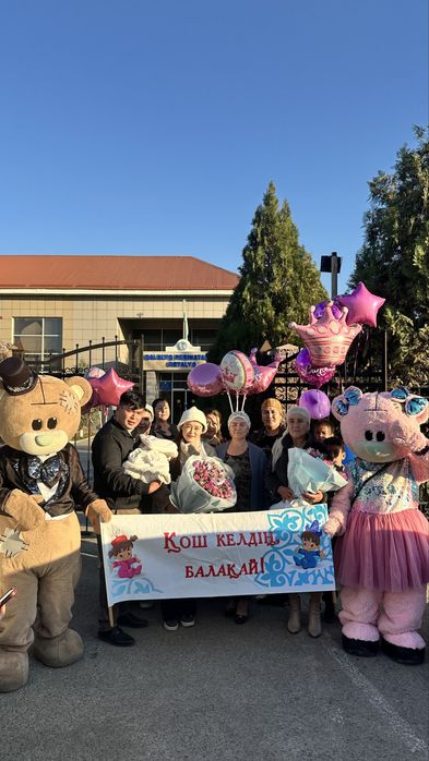 Мишки тедди, боссмолокососс